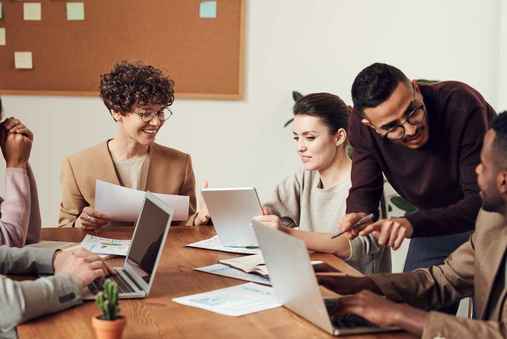 Initial Public Offer (IPO)